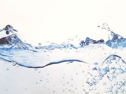 Wasser ist unser wichtigstes Lebensmittel!